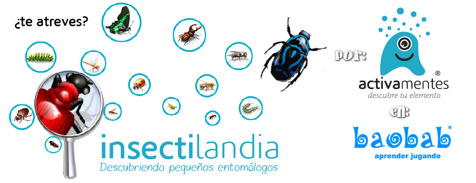 Taller para Pequeños Entomólogos: InsectiLandia ...ver más